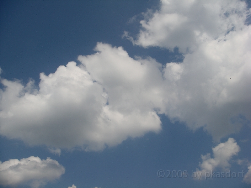 Western Michigan [2009] 477.JPG - Scenes from Frederik Meijer Gardens & Sculpture Park.